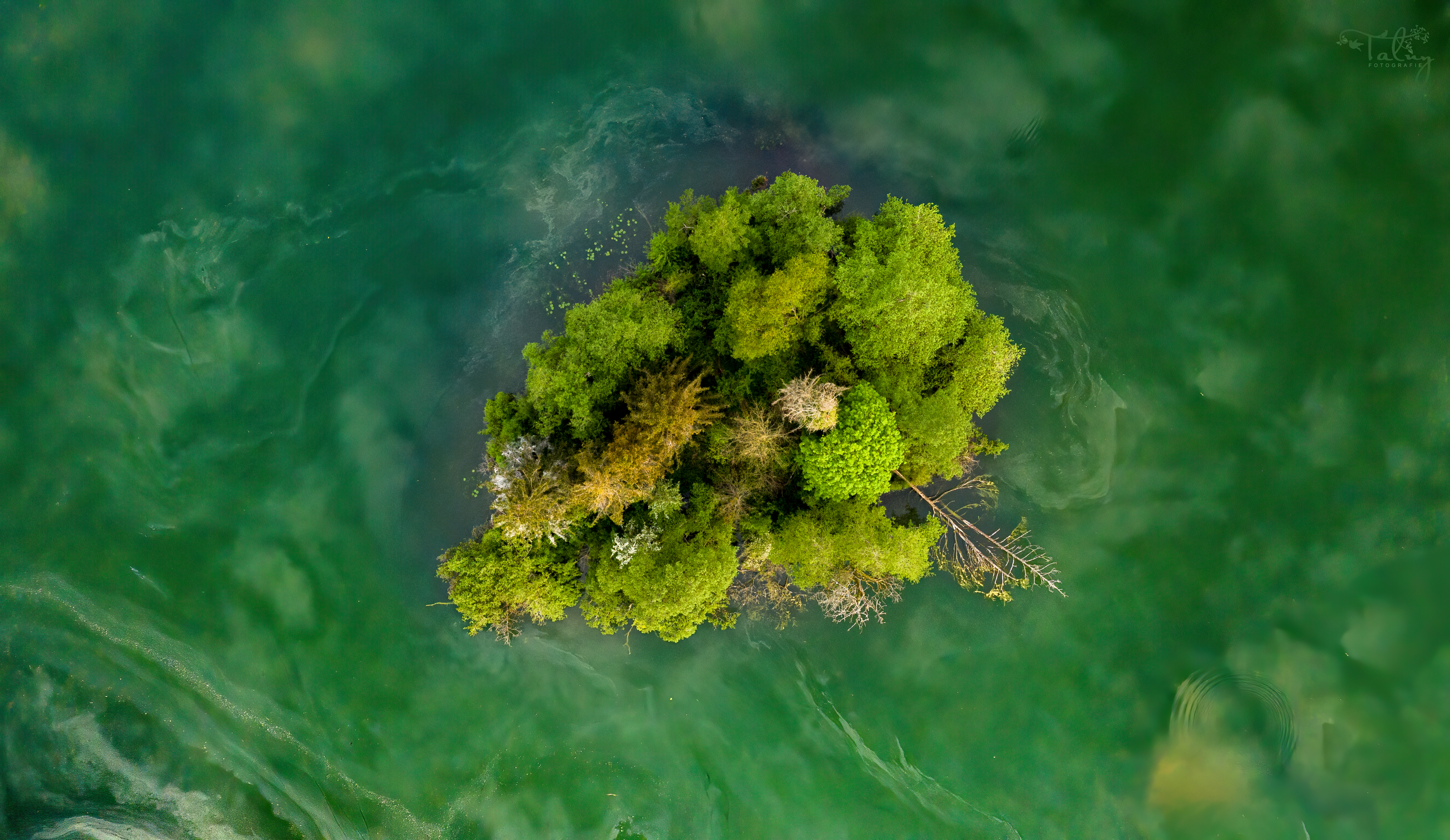 20200426 DJI 0090 Edit