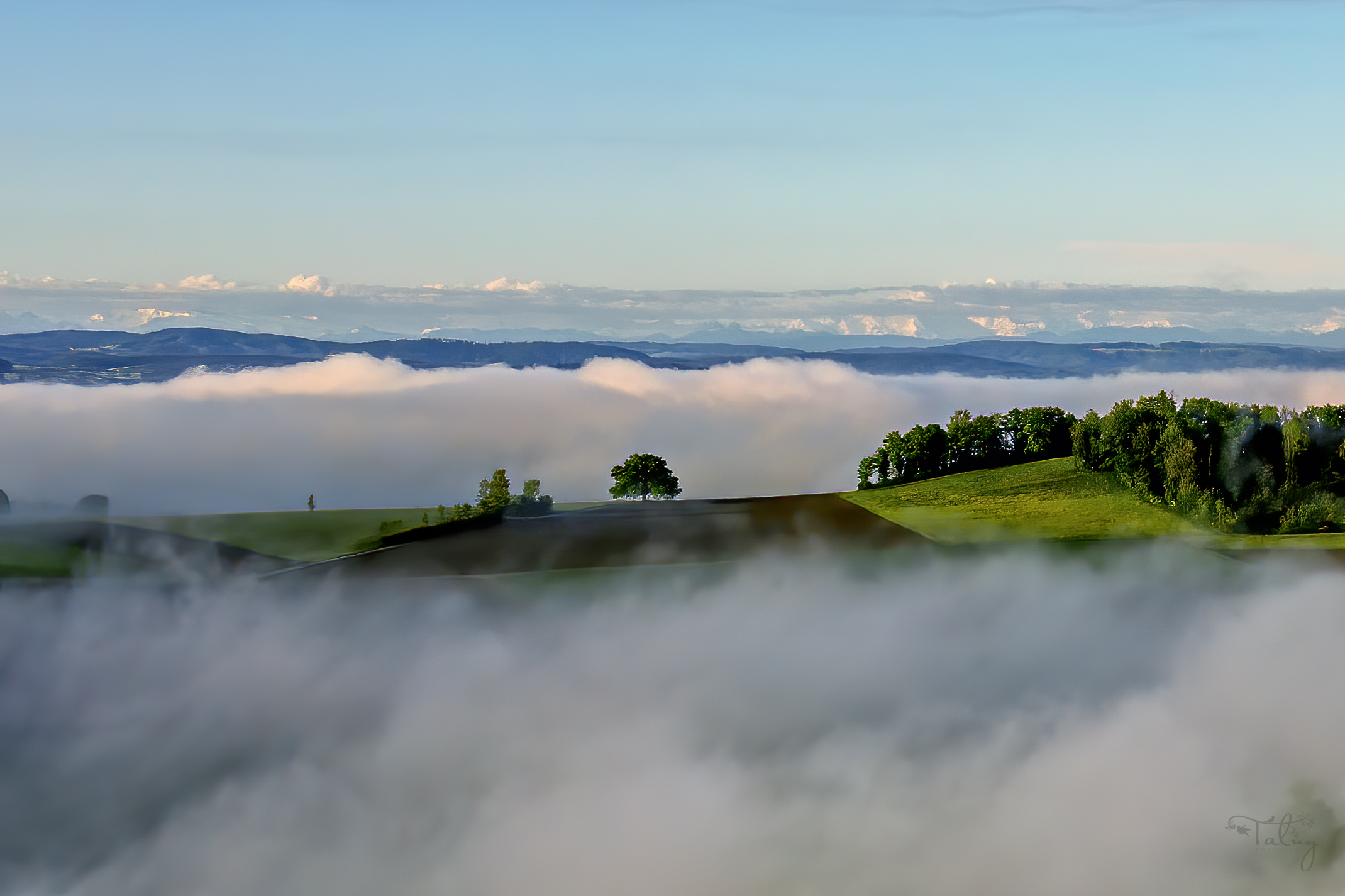 20200503 DJI 0107 Edit