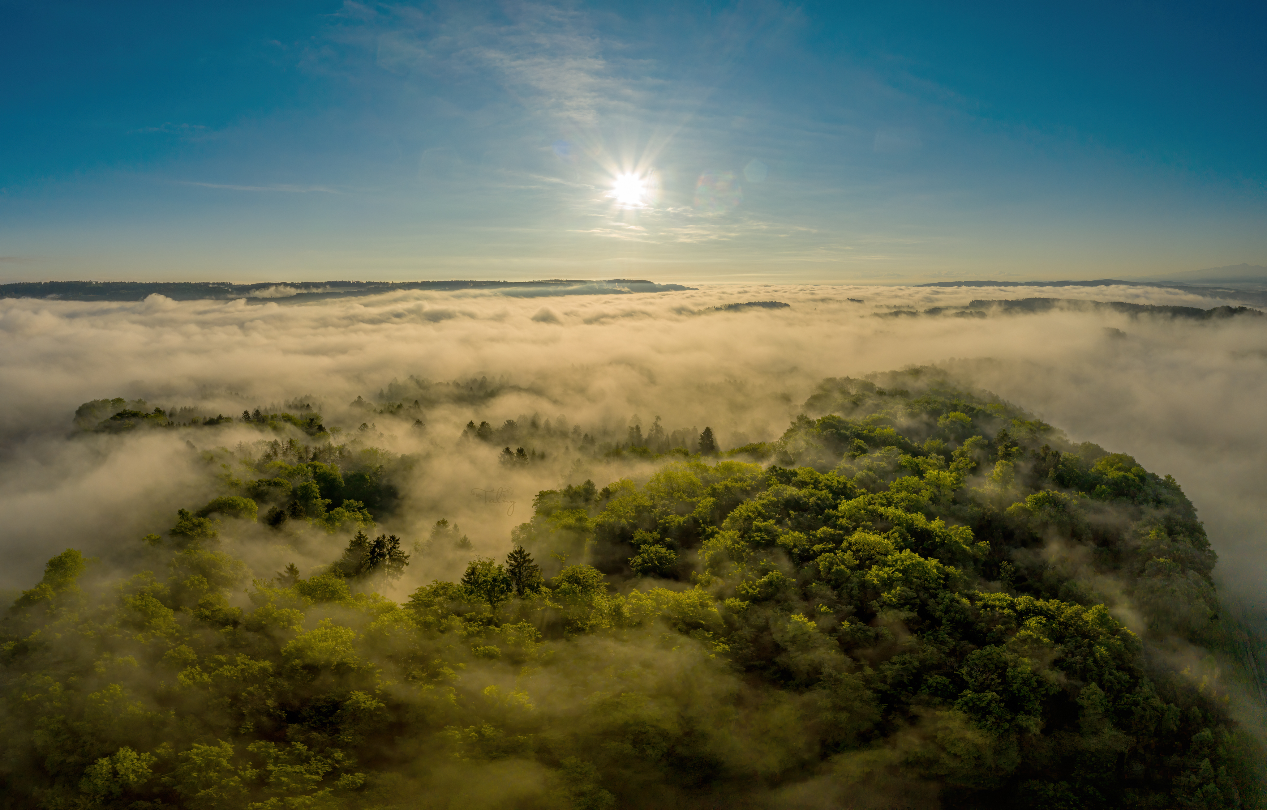 20200503 PANO0001 3 Pano Edit