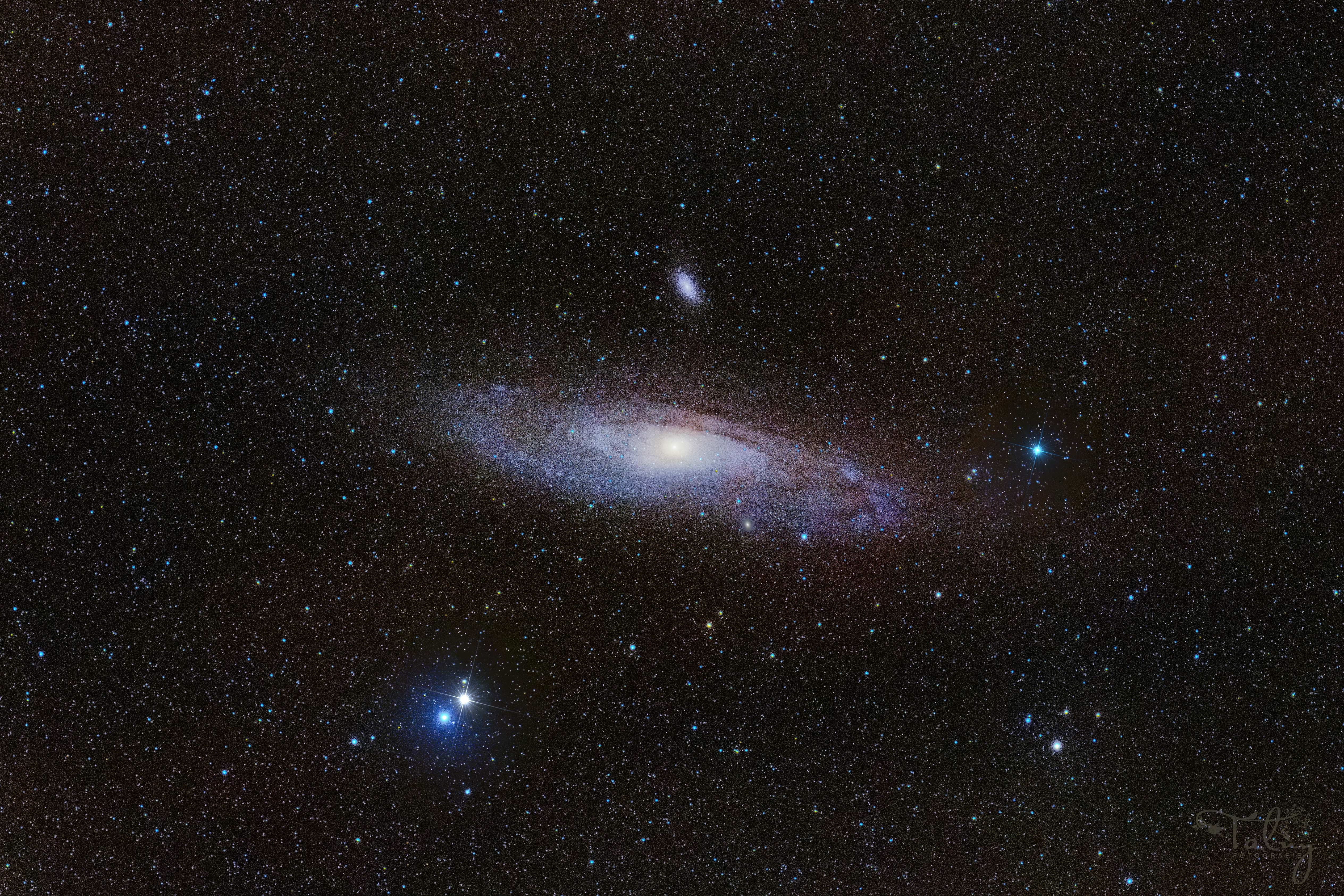 M31