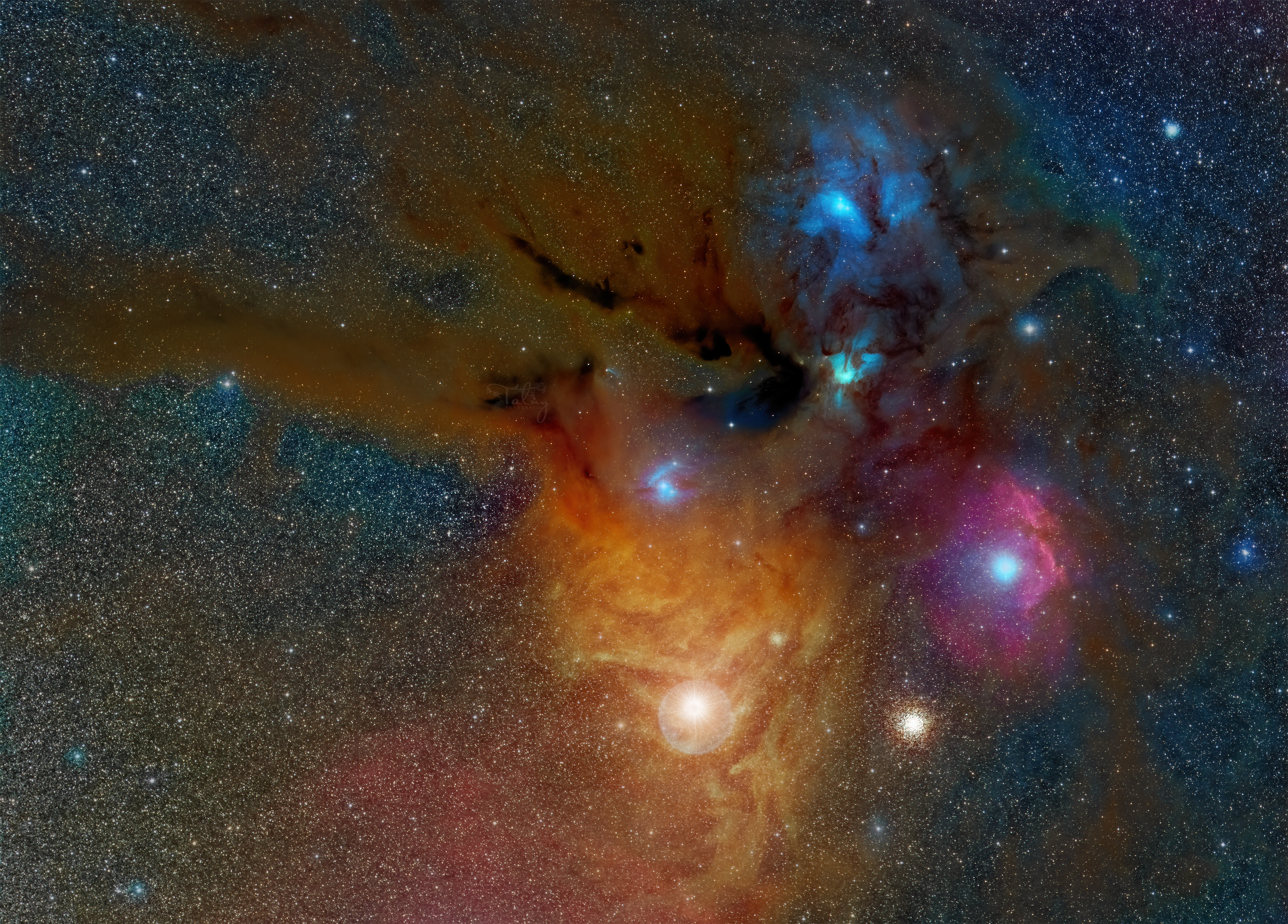 Rho Ophiuchi