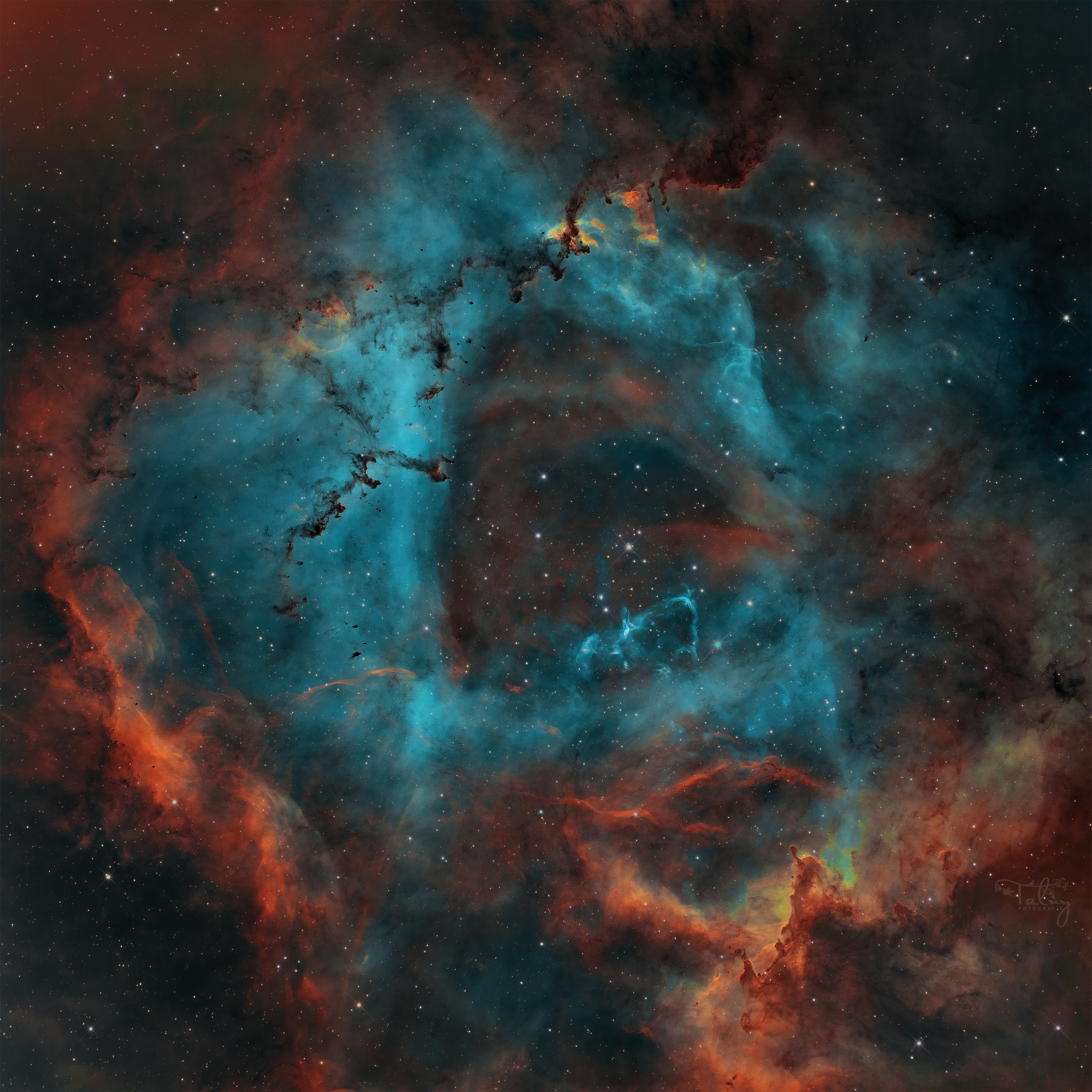 NGC2244
