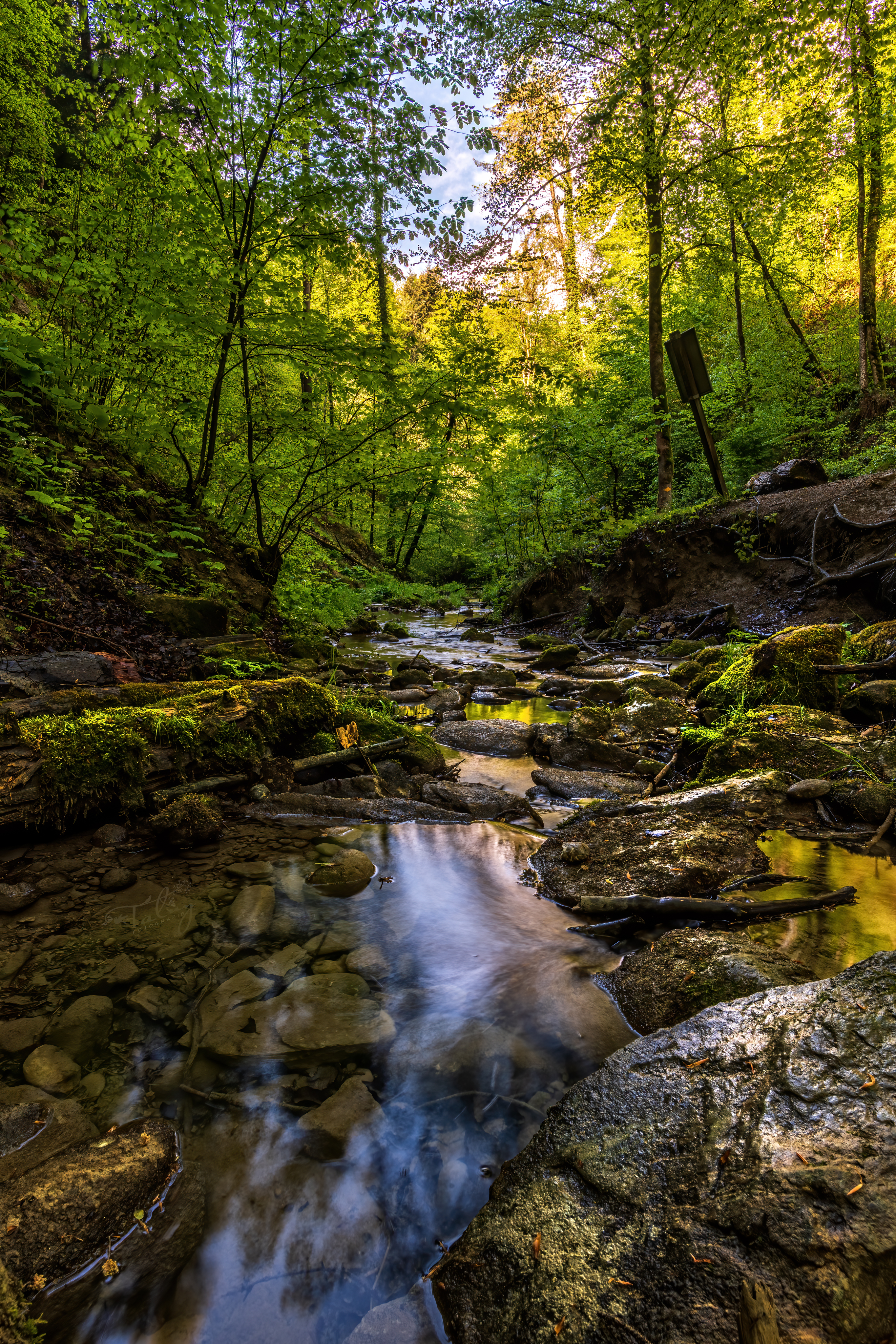 20200501 D85 7218 HDR Edit