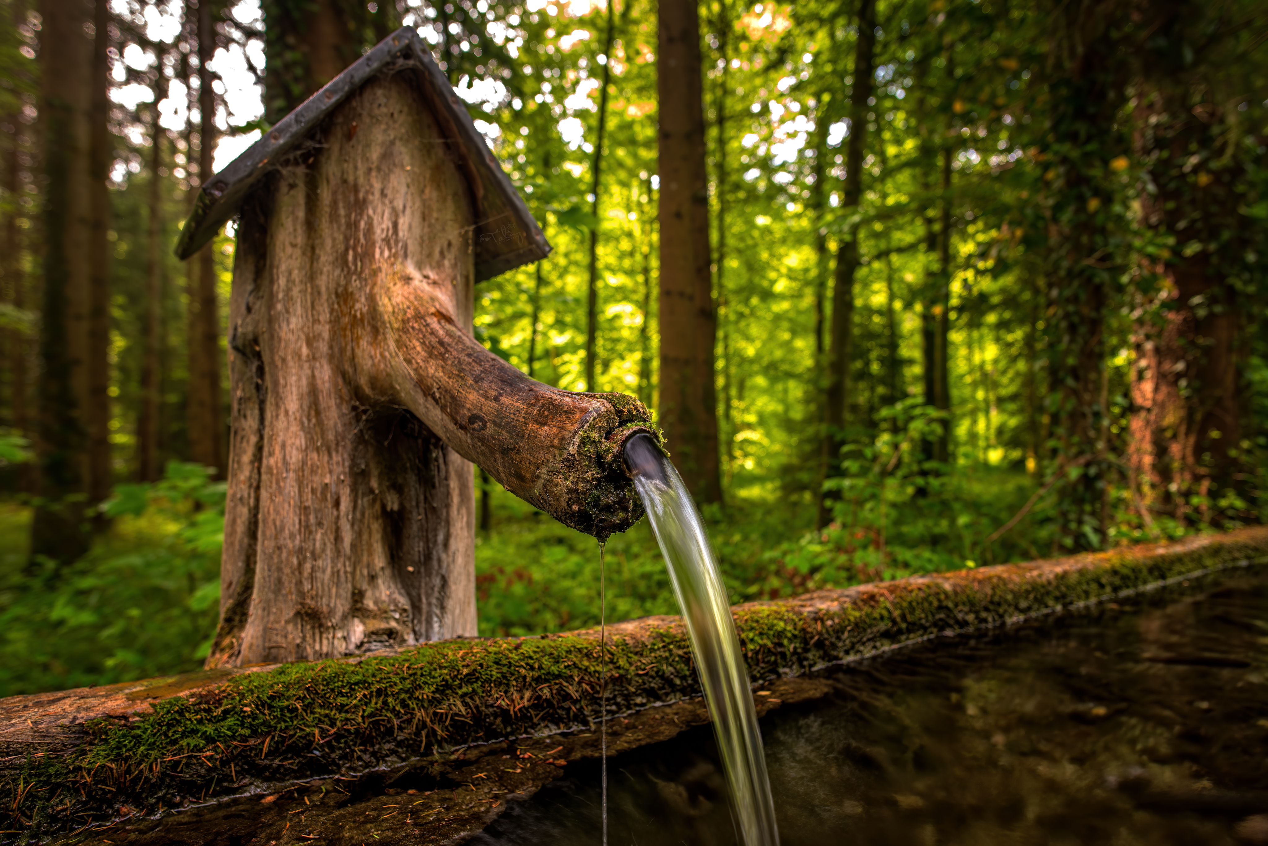 20200510 D85 7607 Edit