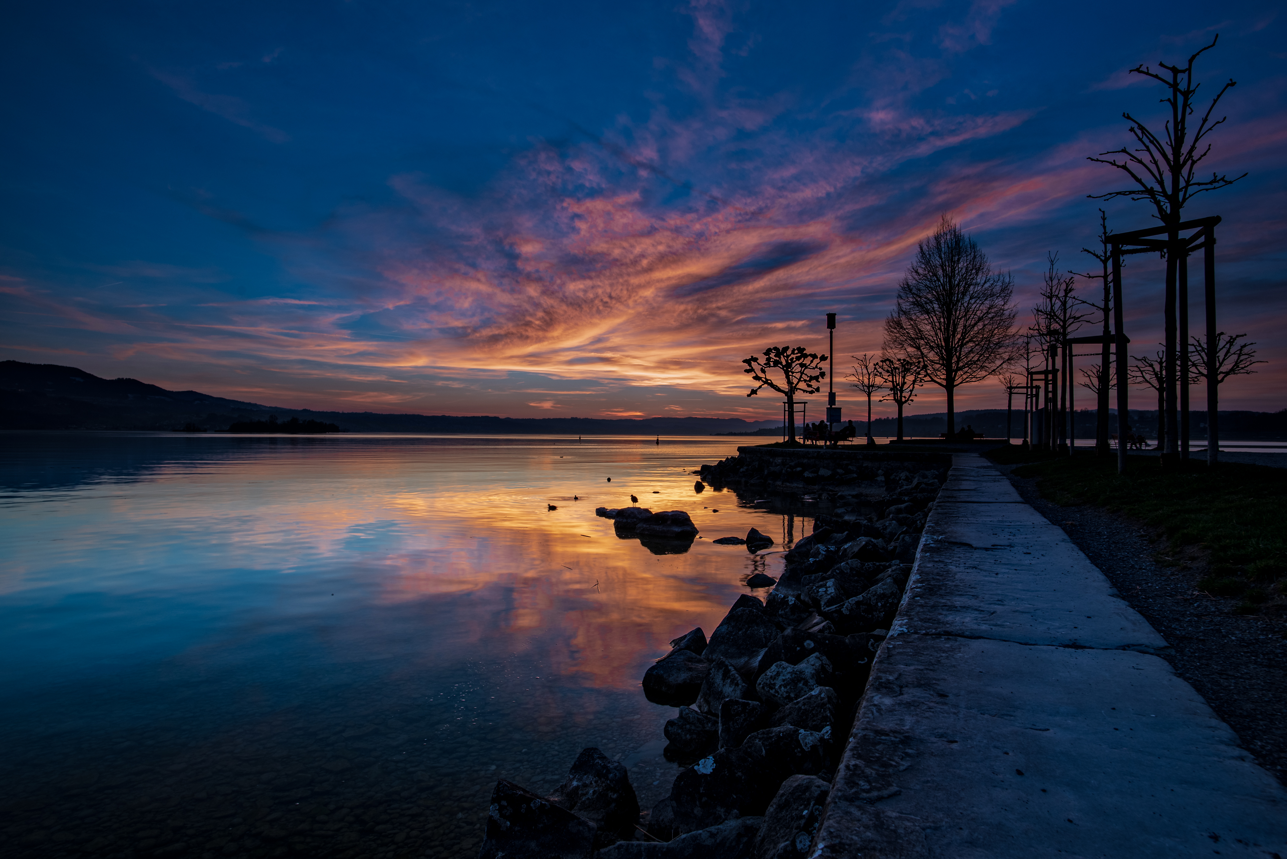 20190322 DK7 3398 Edit