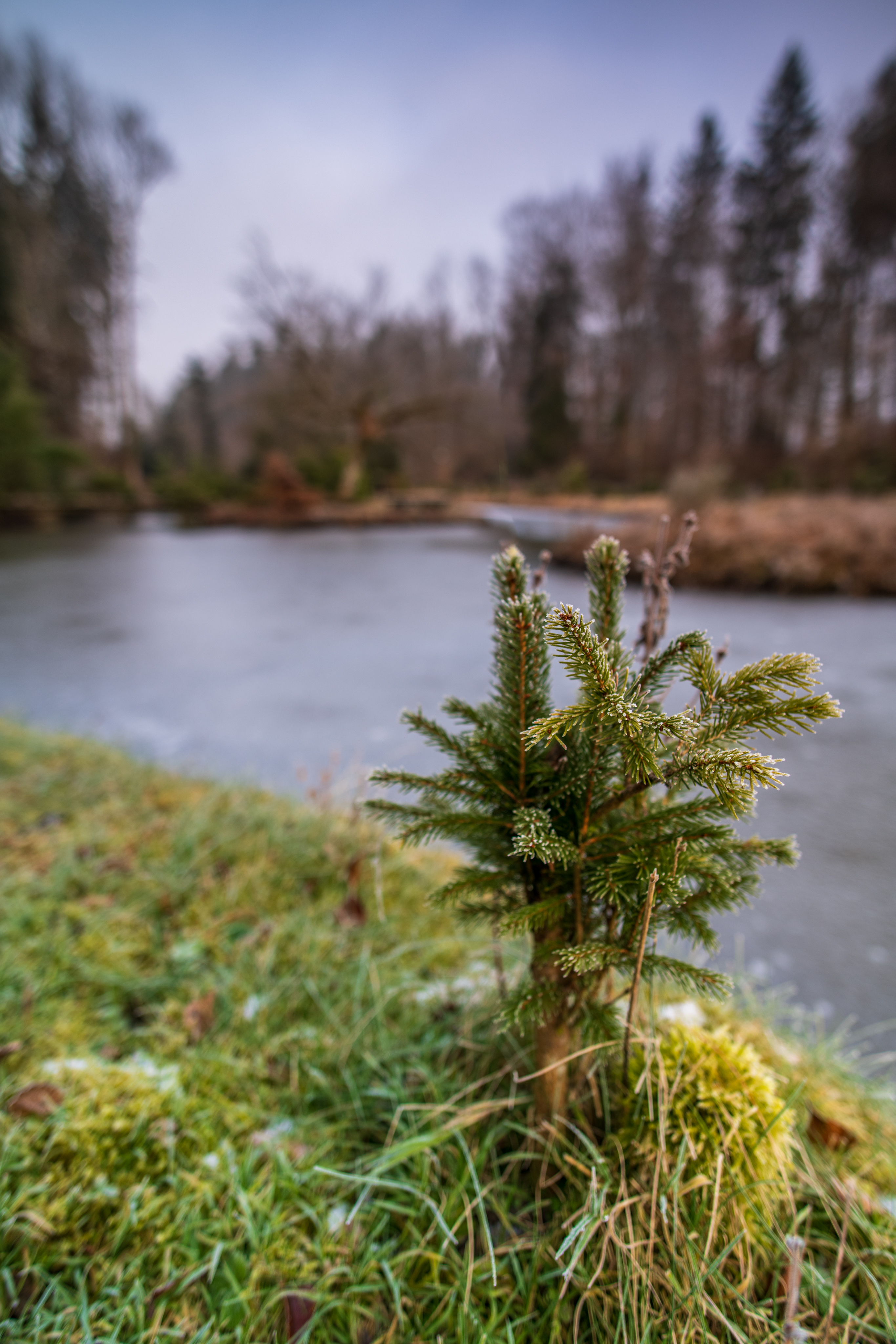 20200126 D85 5414 Edit