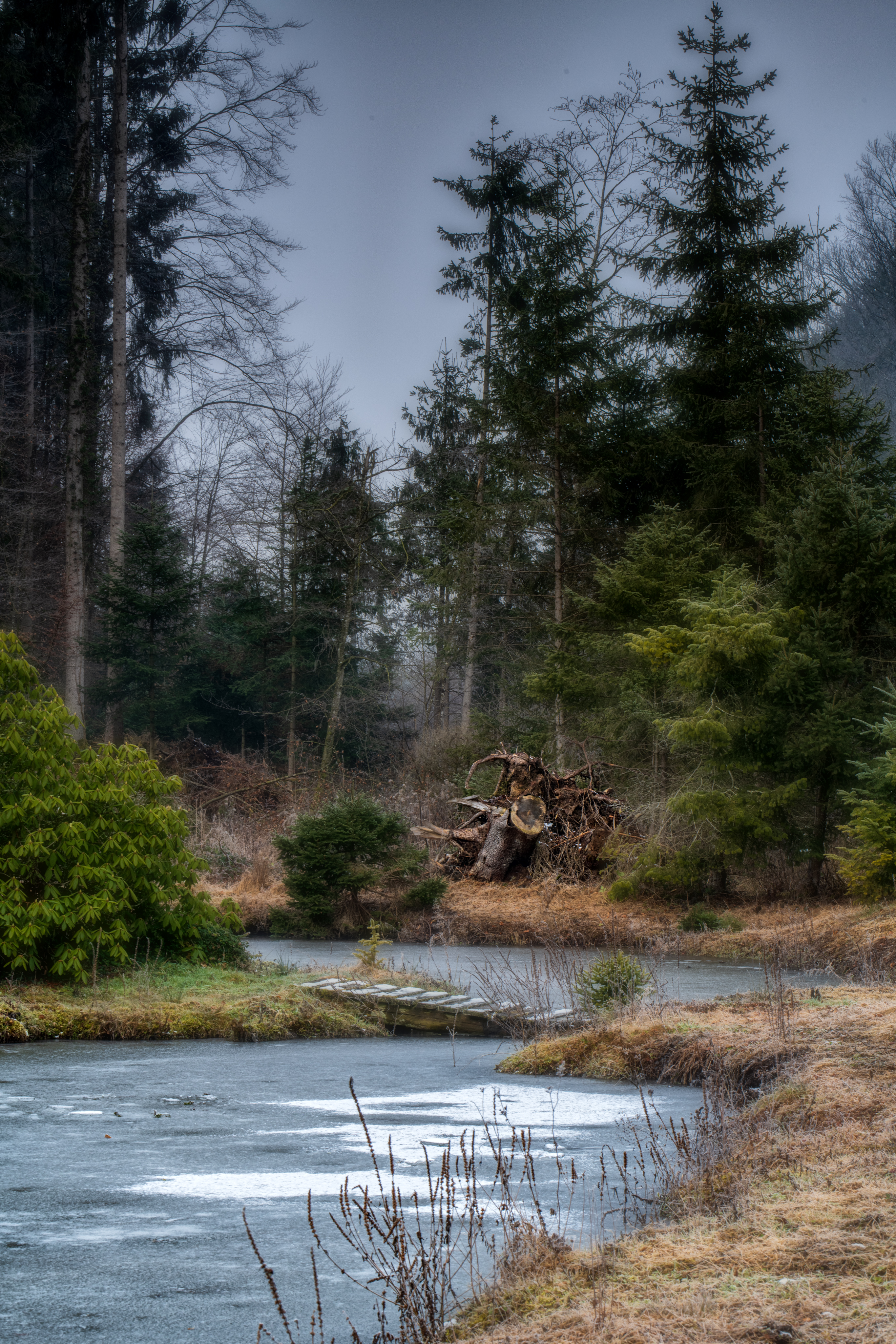 20200126 D85 5421 Edit