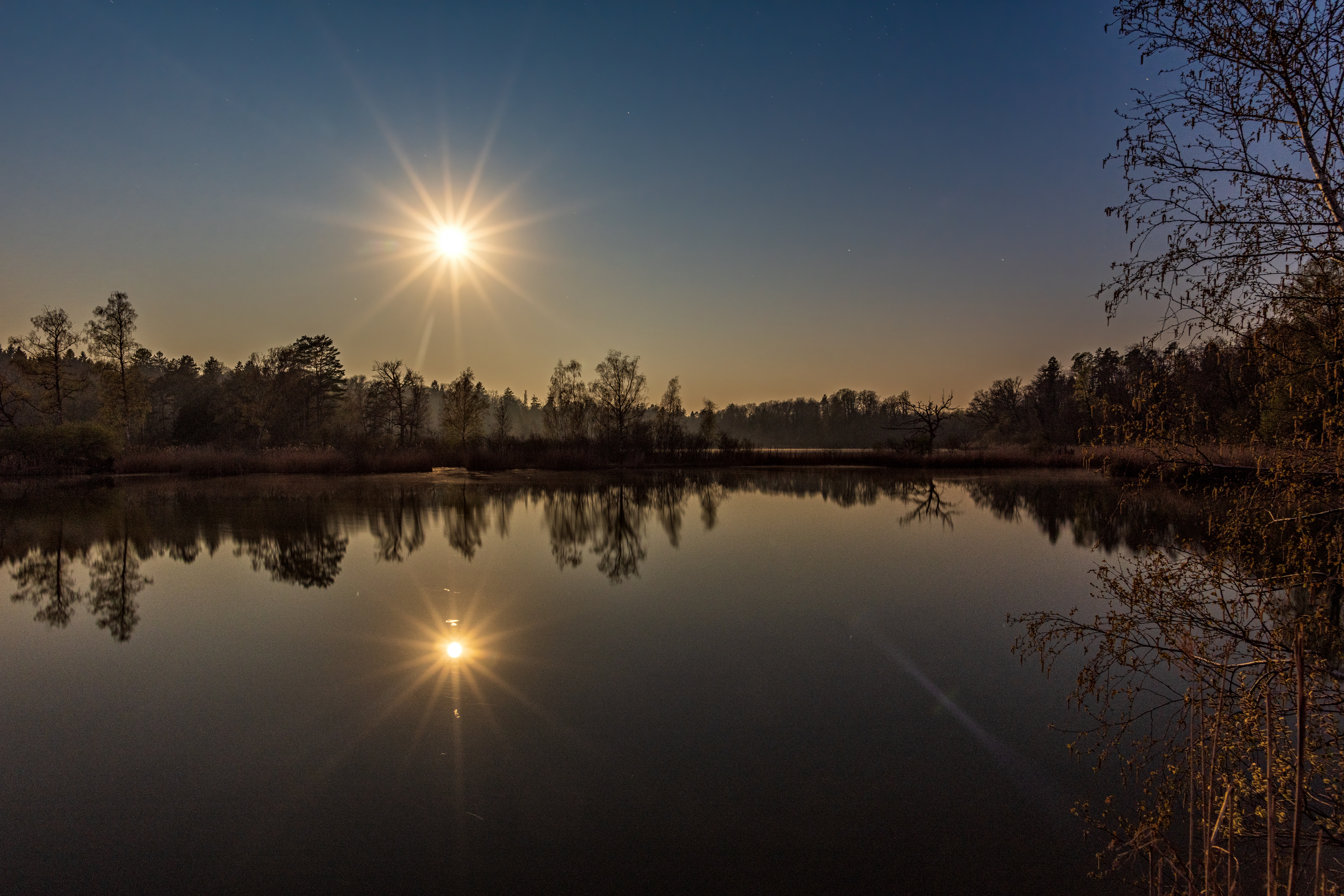 20200408 D85 6555 Edit