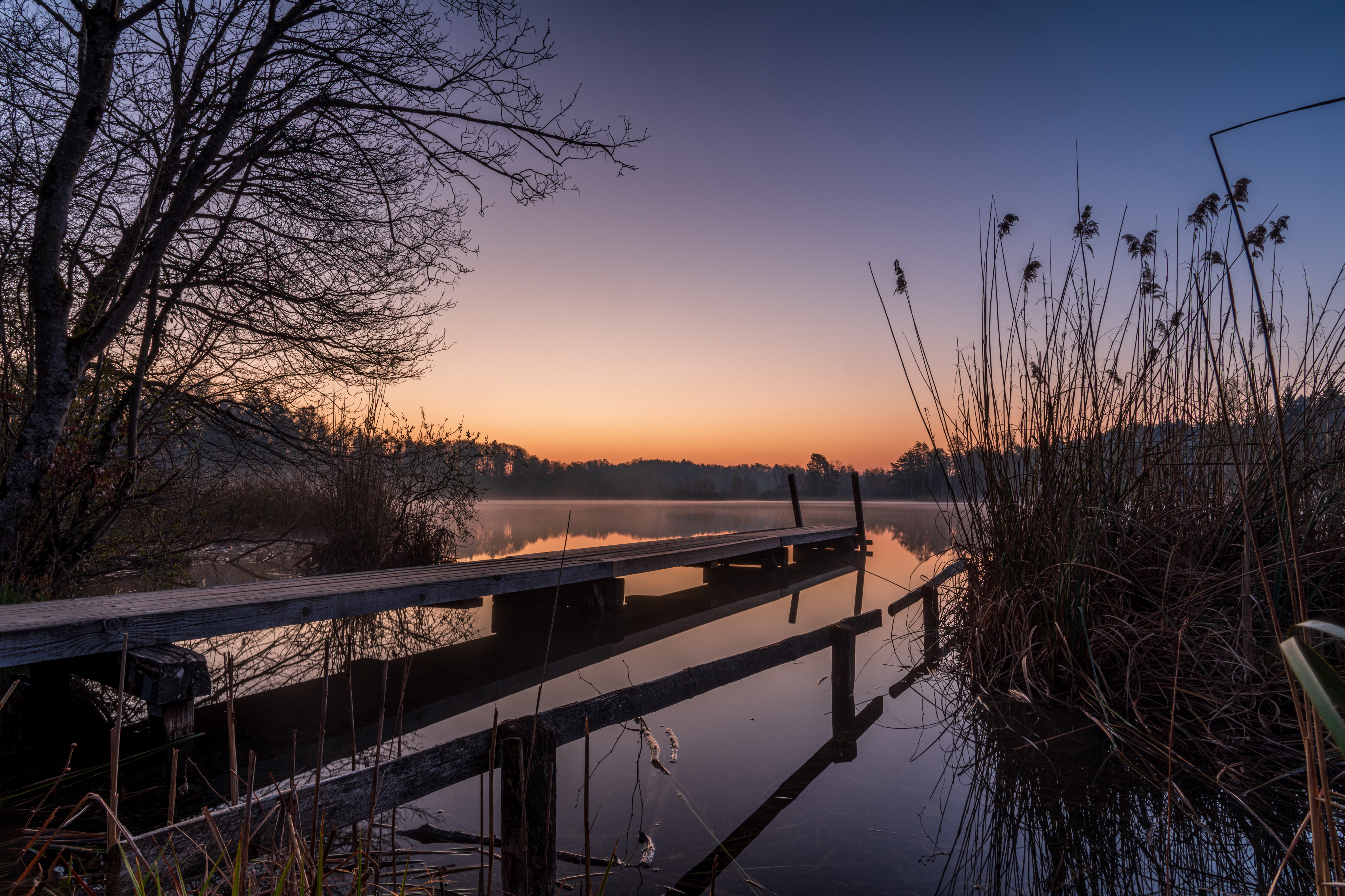 20200408 D85 6580 Edit