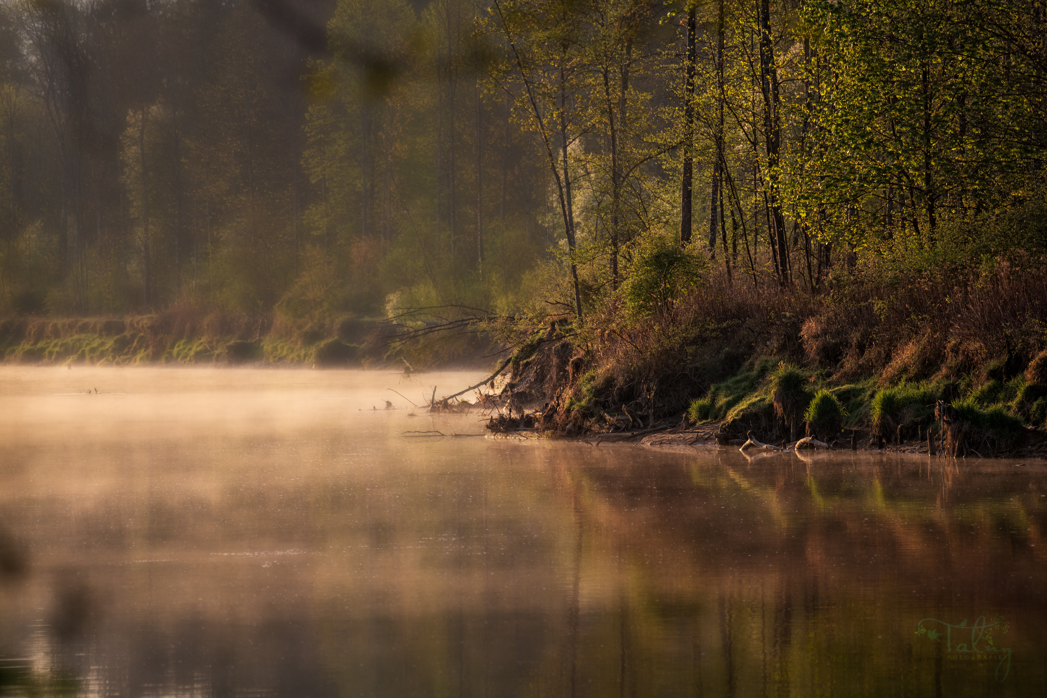 20200419 D85 7060 Edit