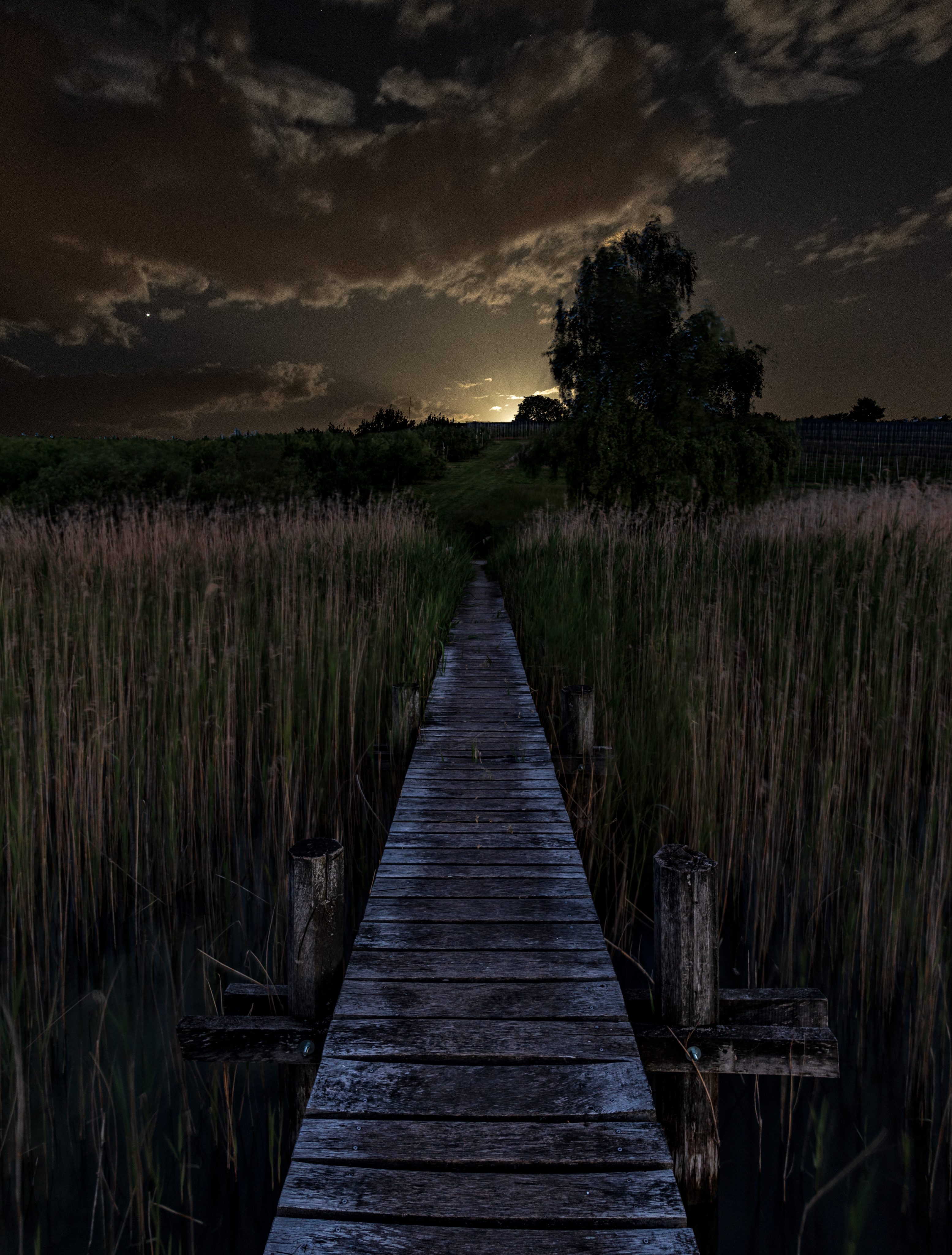 20190615 D85 0181 Edit