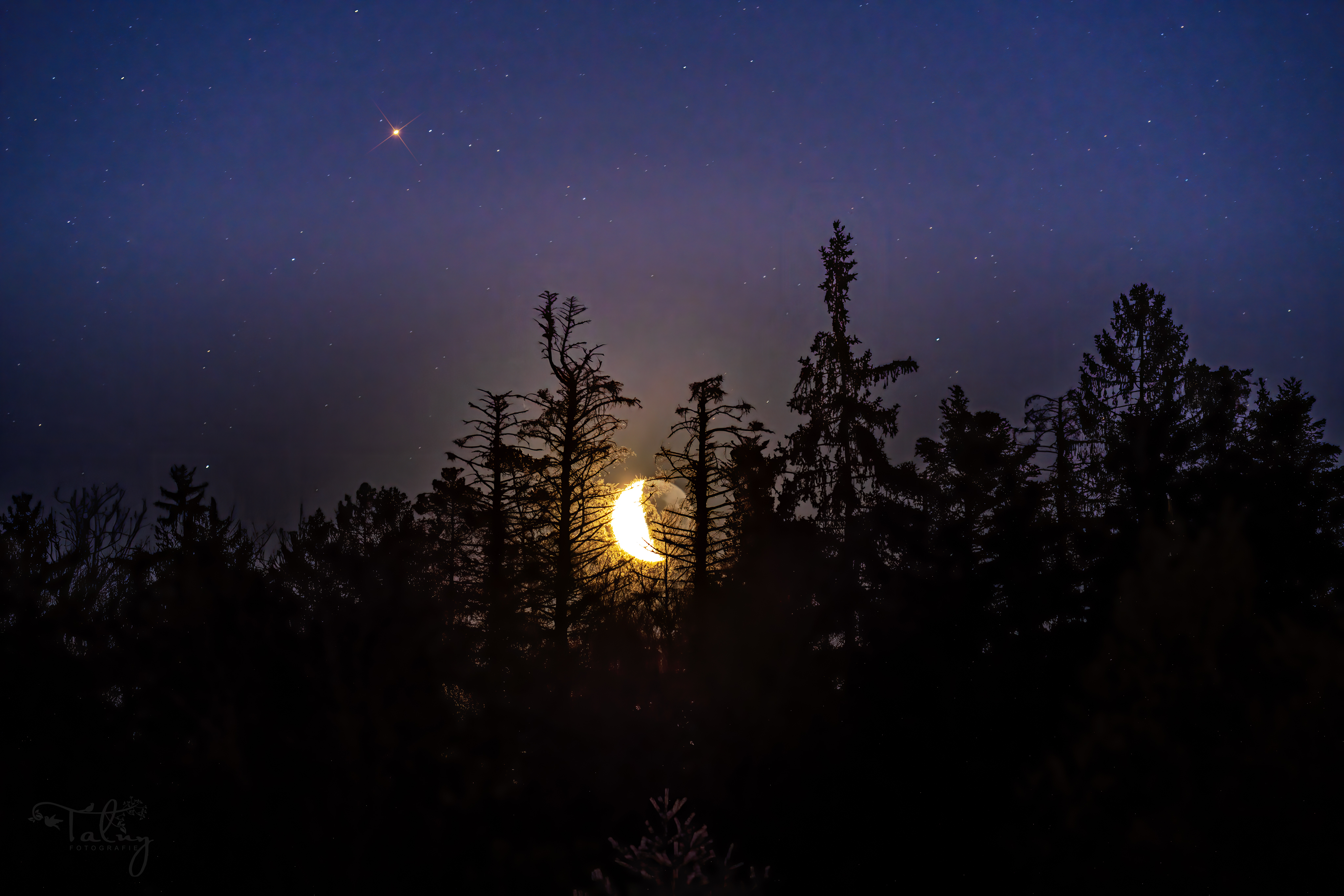 20200416 D85 6897 Edit