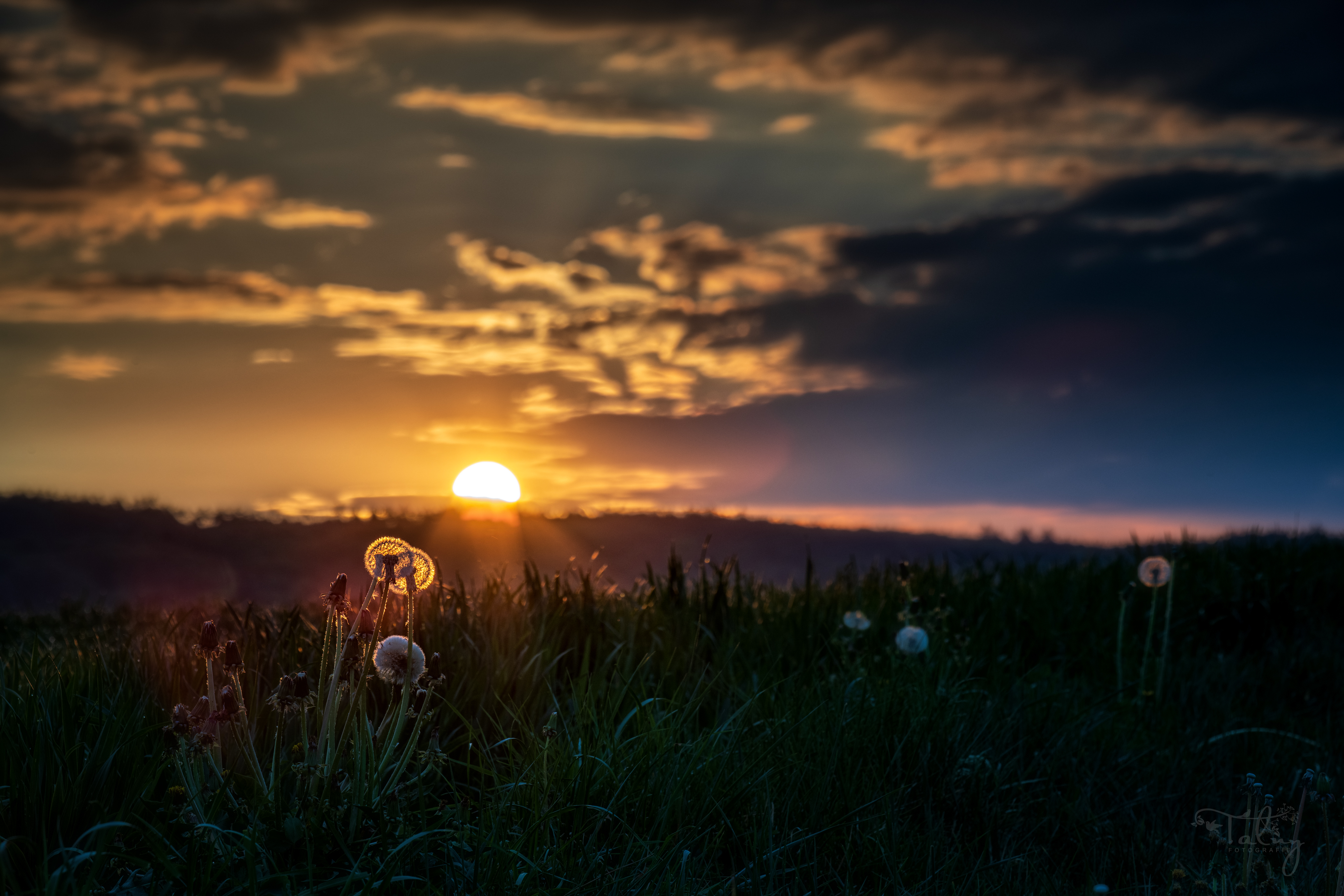 20200426 D85 7151 Edit