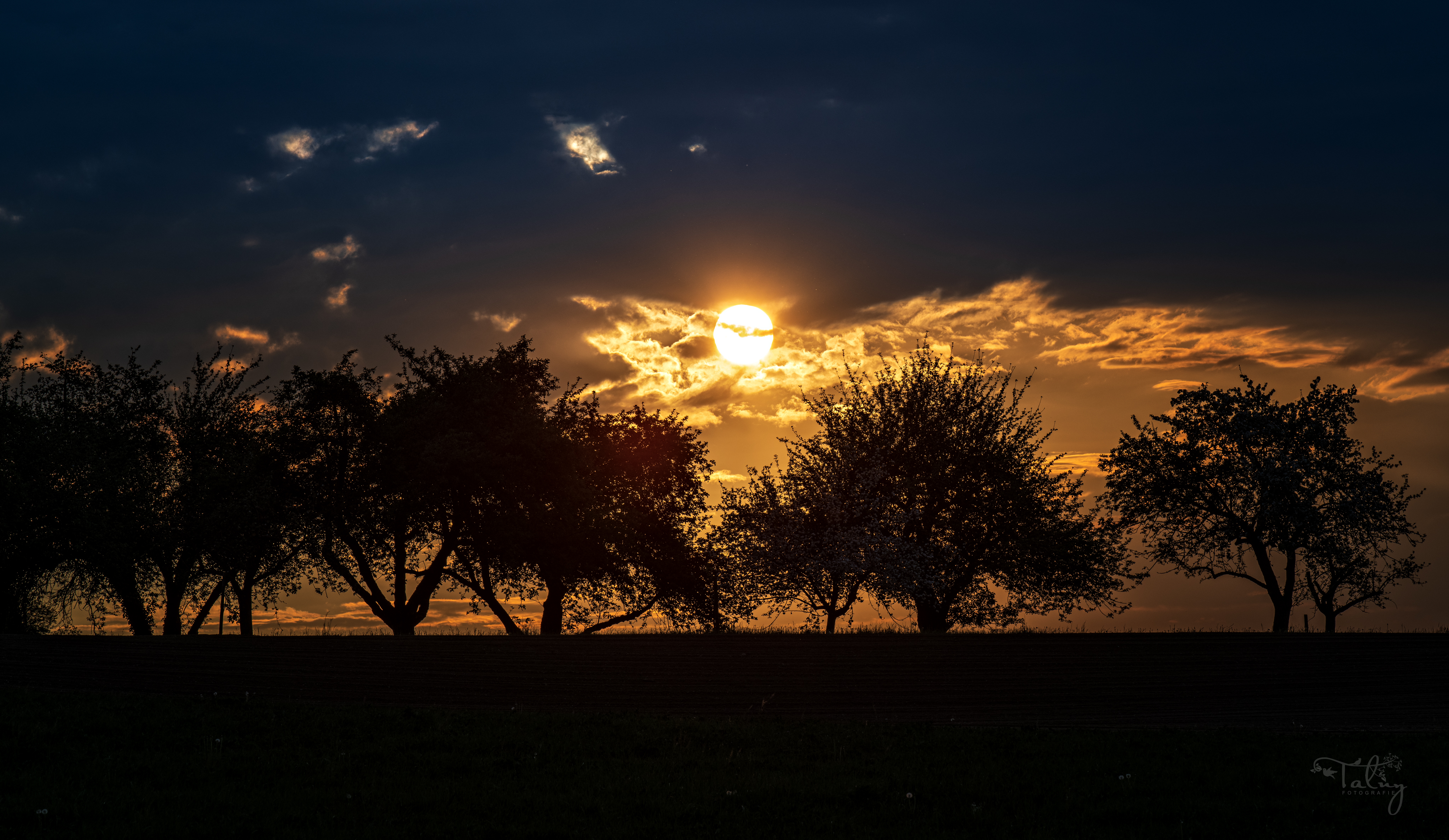 20200426 D85 7155 Edit