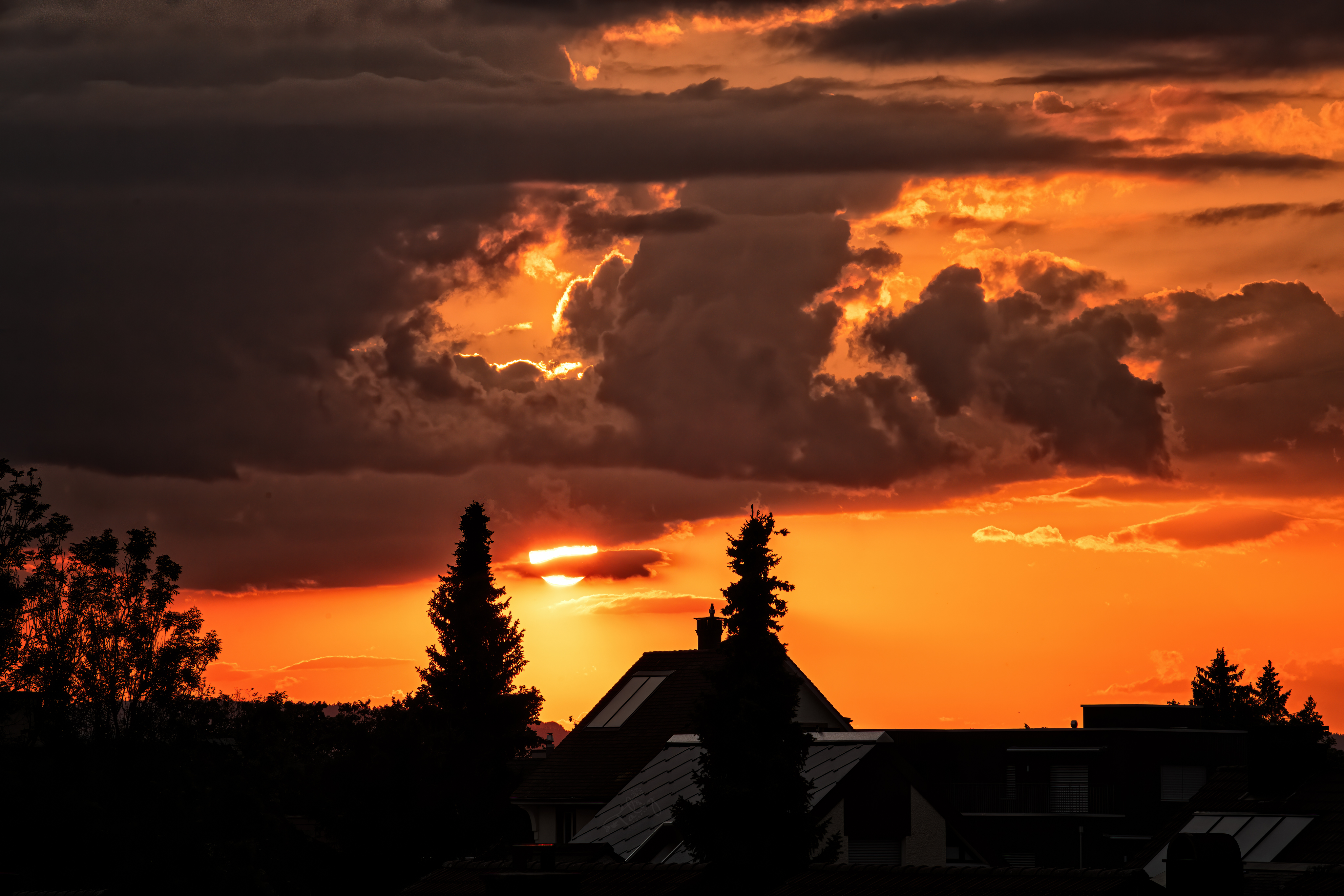 20200528 D85 8156 Edit