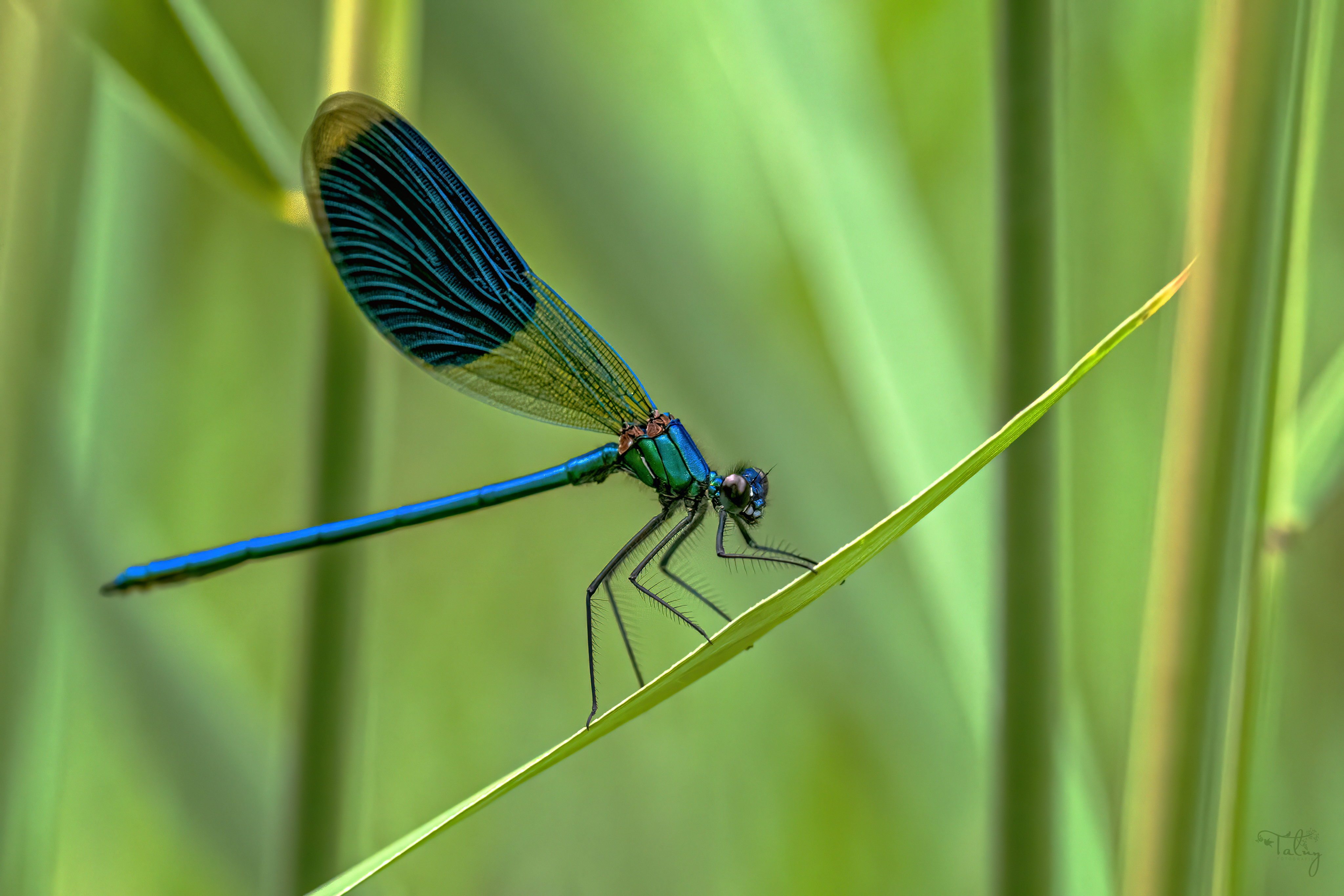 20170701 DK5 0103 Edit