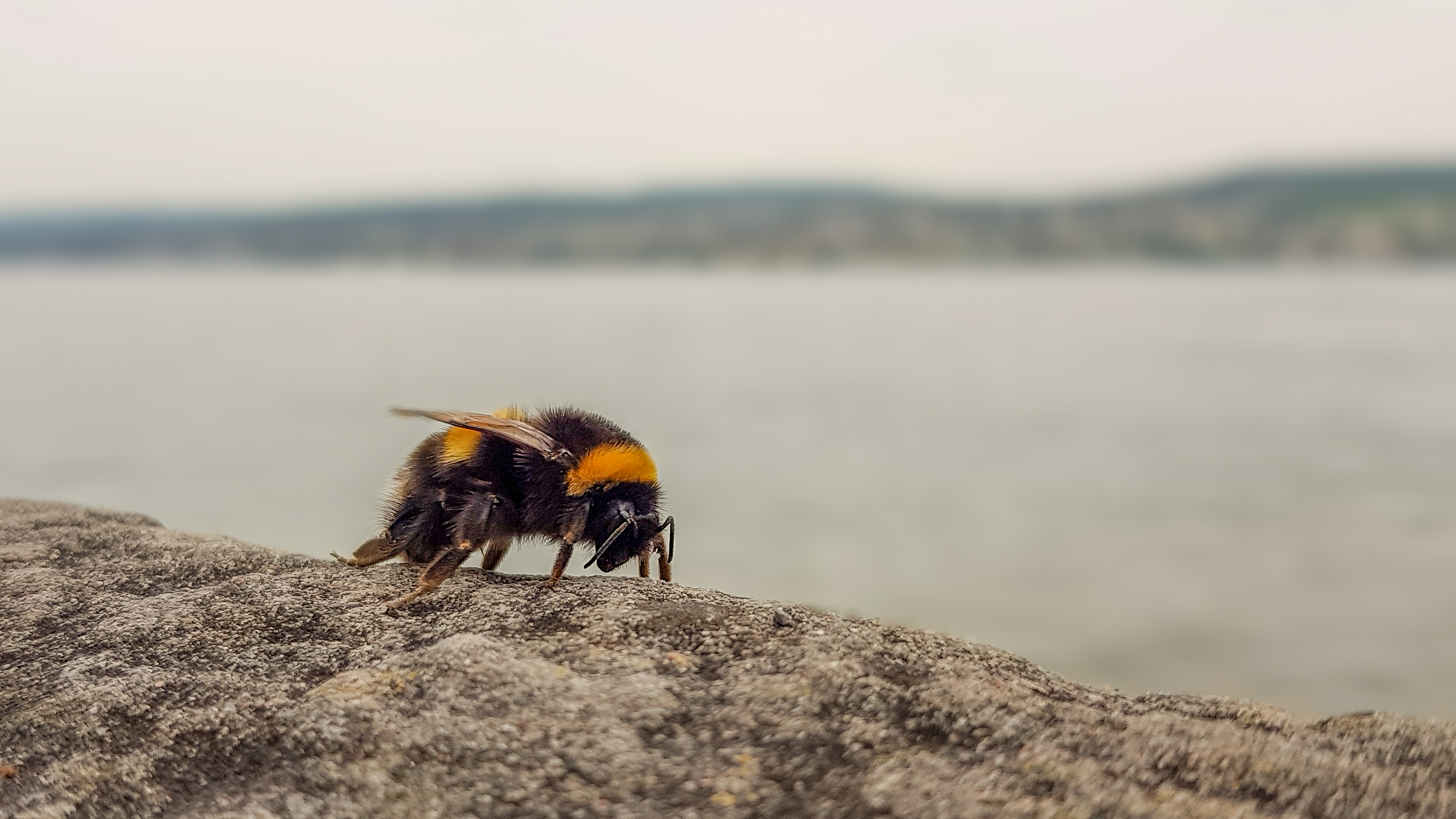 20190518 20190518 150353