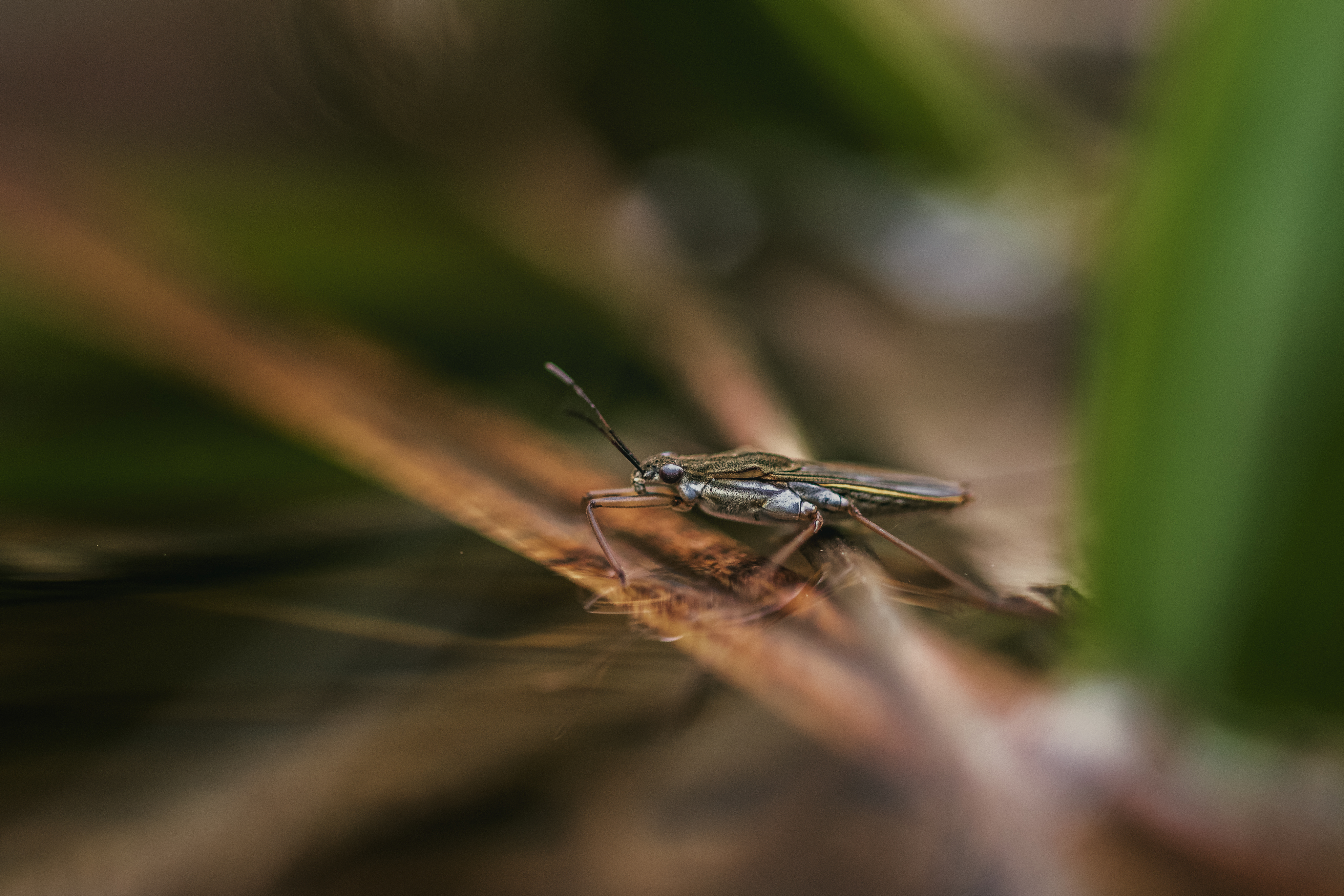 20200321 D85 6126 Edit