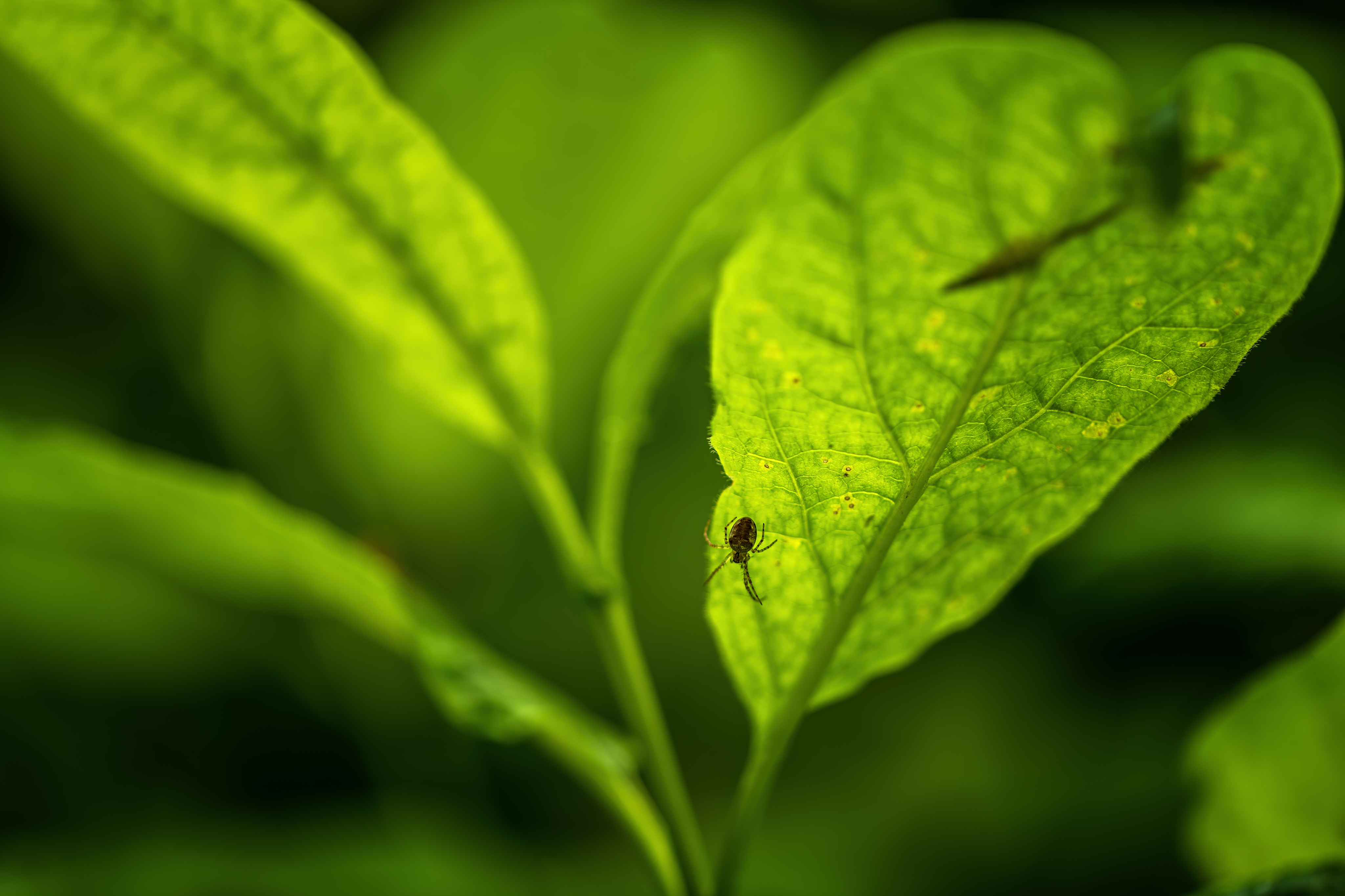 20200510 D85 7598 Edit