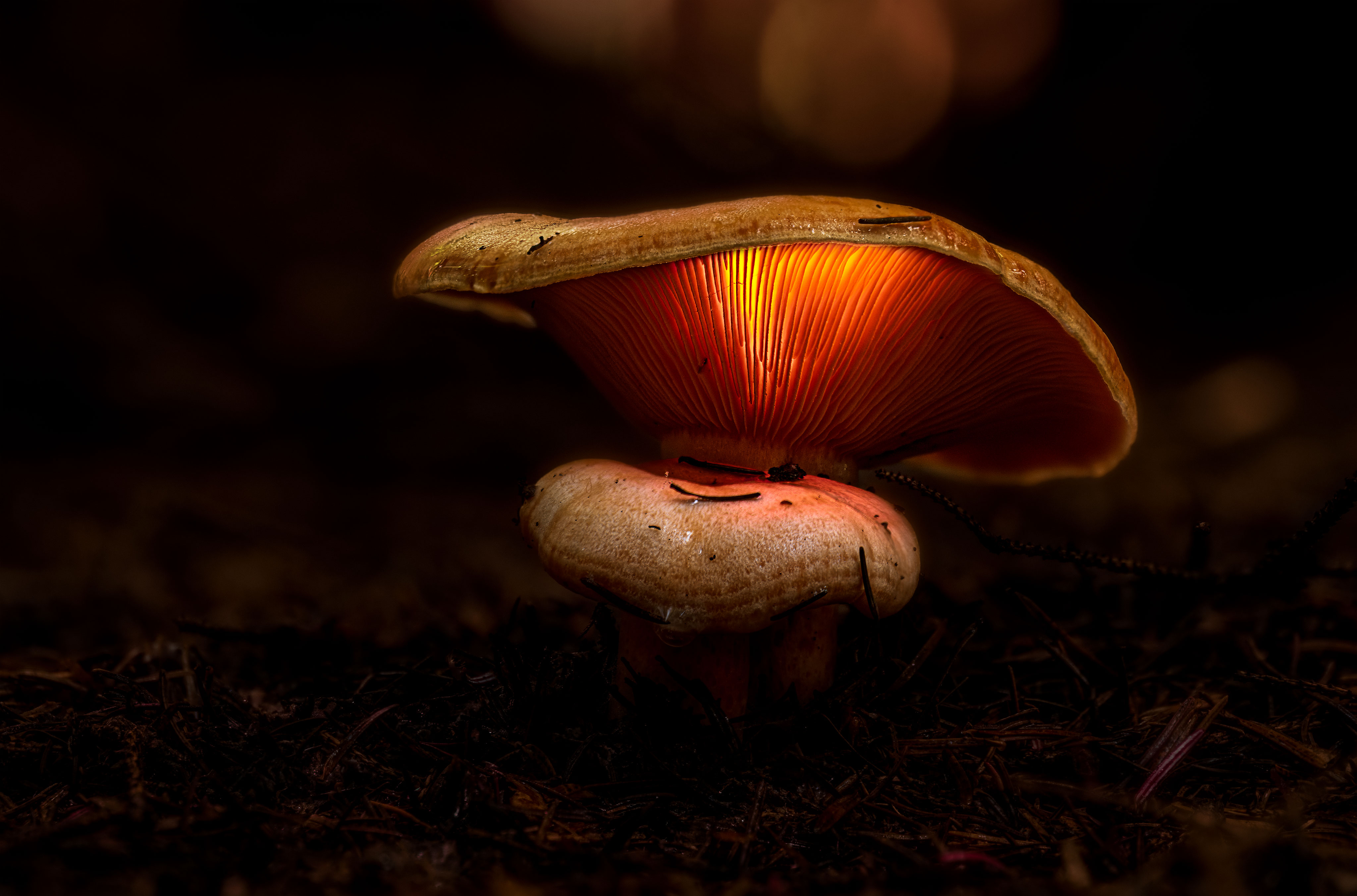 2022 09 26 14 33 32 (C,S4)