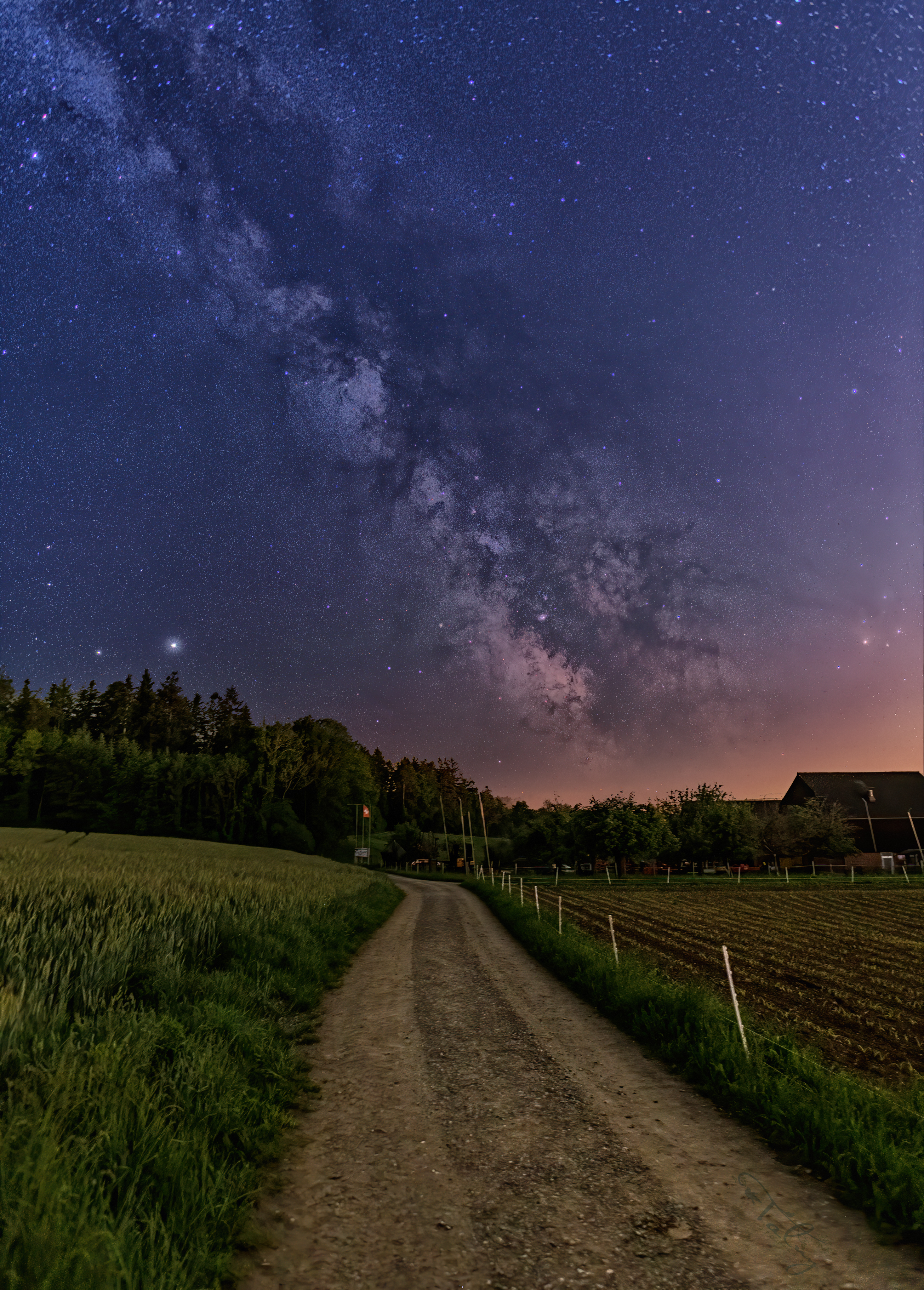 20200517 D85 7778 Edit