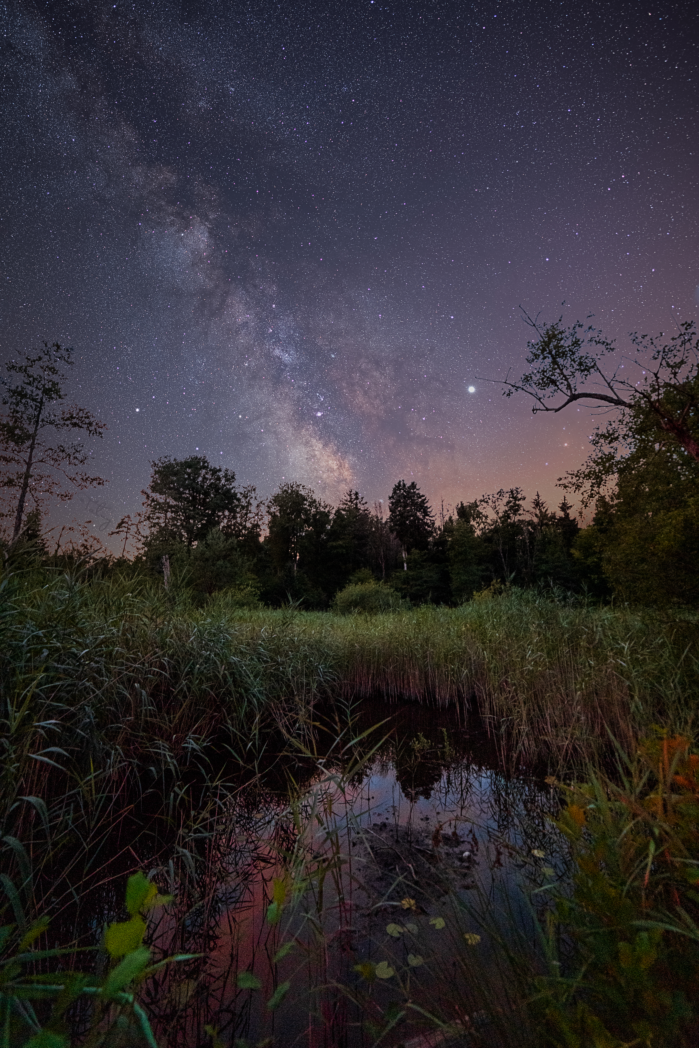 20220731 D85 0089 MS